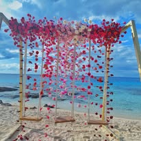 Ramo de orquídeas blancas